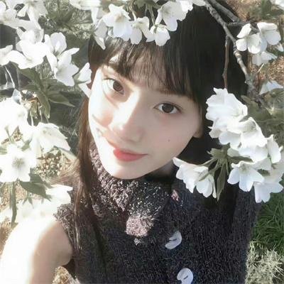 我的青春路过你的锦年